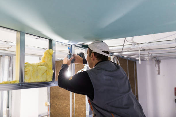 Best Geographic-Specific Insulation Services in Peach Springs, AZ