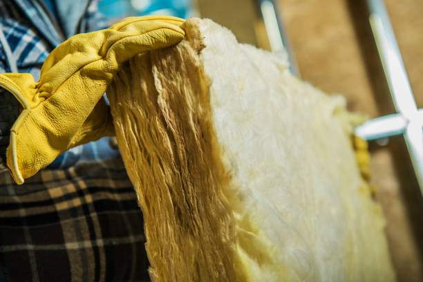 Best Specialized Insulation Services in Peach Springs, AZ